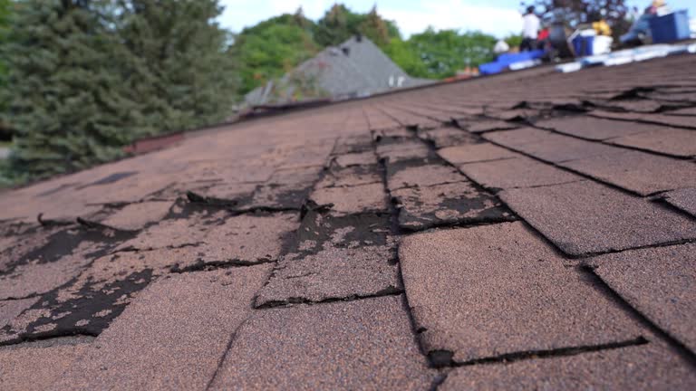 Best Roof Coating and Sealing  in Staunton, IL