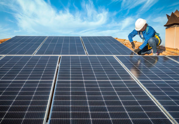 Best Roof Moss and Algae Removal  in Staunton, IL