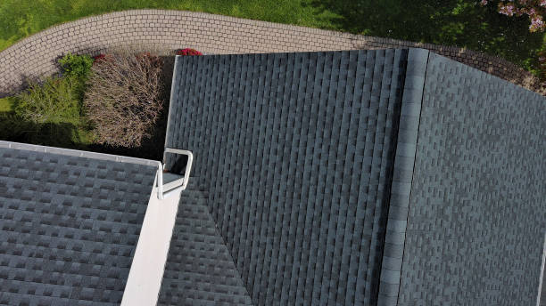 Best Solar Panel Roofing Installation  in Staunton, IL