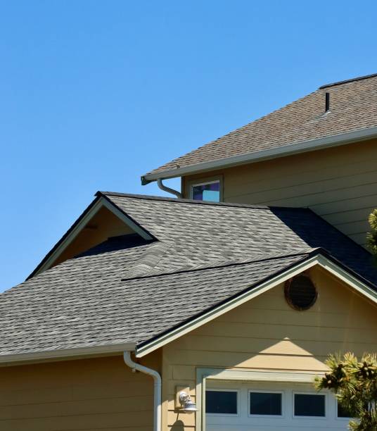 Best Roof Maintenance and Cleaning  in Staunton, IL